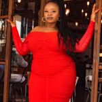 Long Sleeved Red Mesh Bodycon