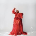 Red Tulle See Through Maxi